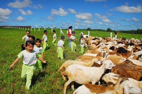 亲近草原喂羊喝奶！假日到居銮去体验大马最大农场吧！