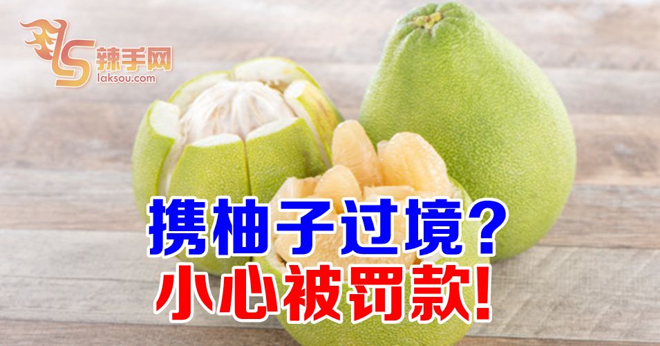 携带柚子过境   小心被罚款