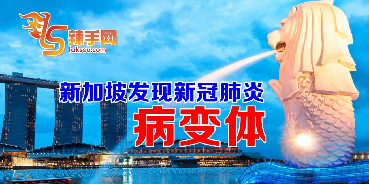 新加坡发现新冠肺炎病变体
