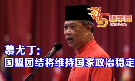 慕尤丁：将加强各党在国盟内的地位