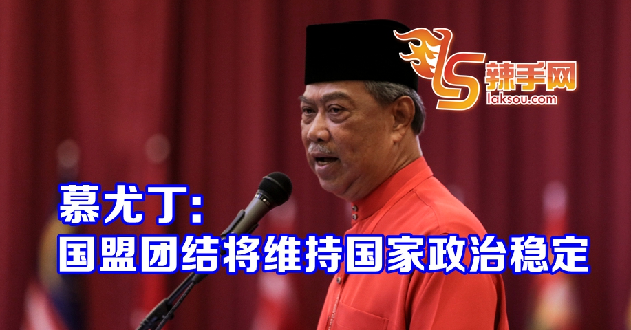 慕尤丁：将加强各党在国盟内的地位