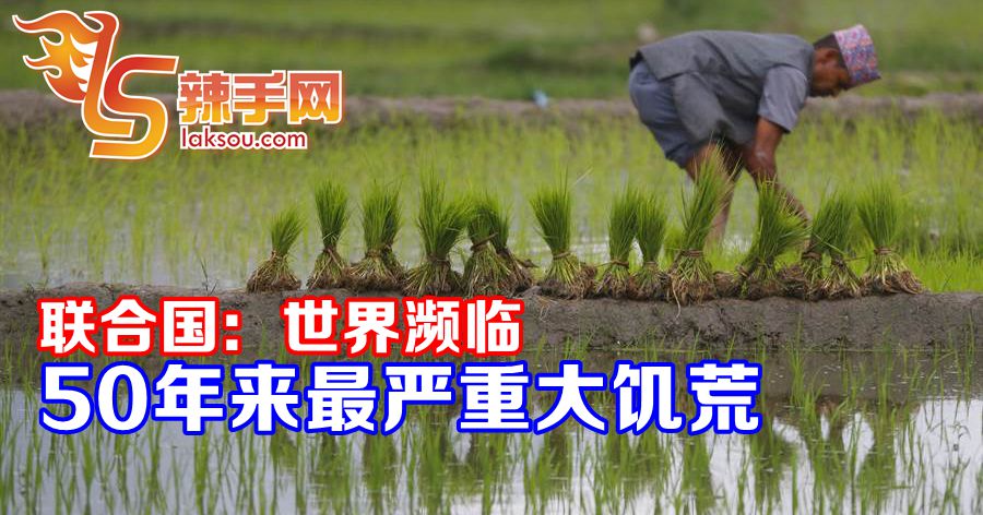 疫情蔓延使全球粮食供应链临巨大压力