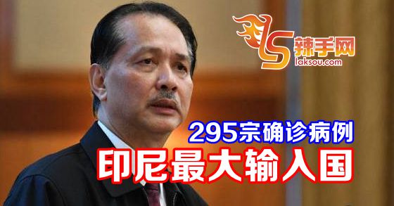 印尼输入确诊病例最多