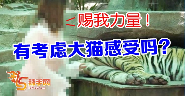 泰大胆！体验抓老虎蛋蛋