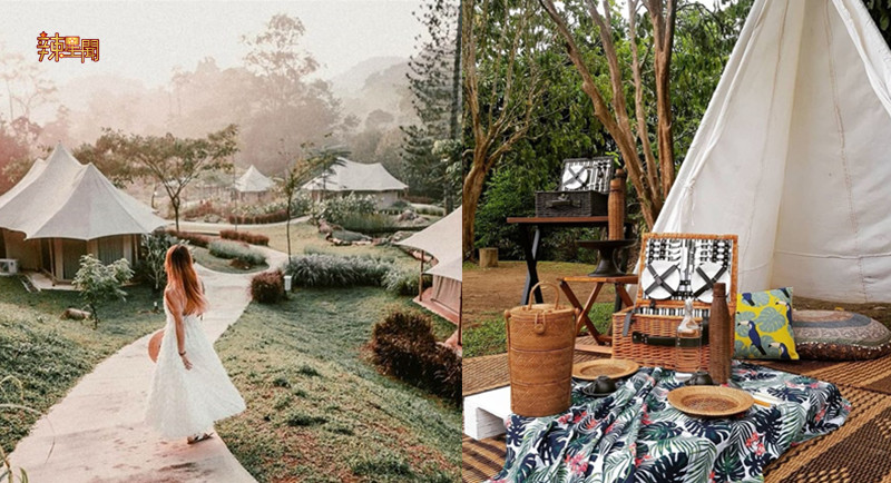 云顶山脚帐篷度假屋！环绕茂密的雨林和小溪非常写意！