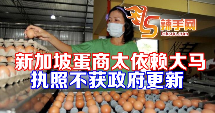太依赖马来西亚鸡蛋不获更新执照