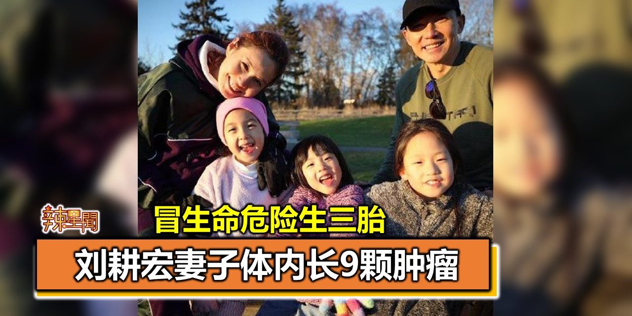 刘耕宏妻子体内长9颗肿瘤 冒生命危险生三胎