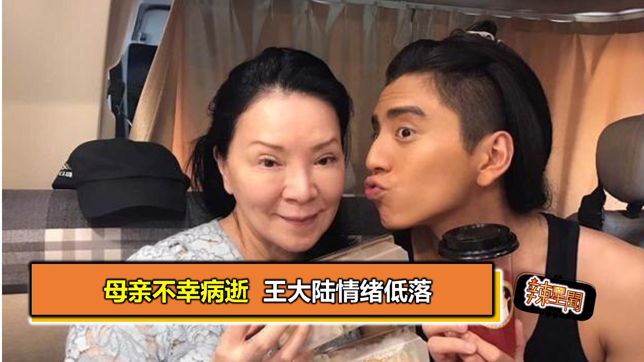 母亲不幸病逝 王大陆情绪低落