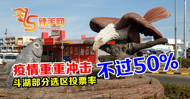 斗湖现超低投票率