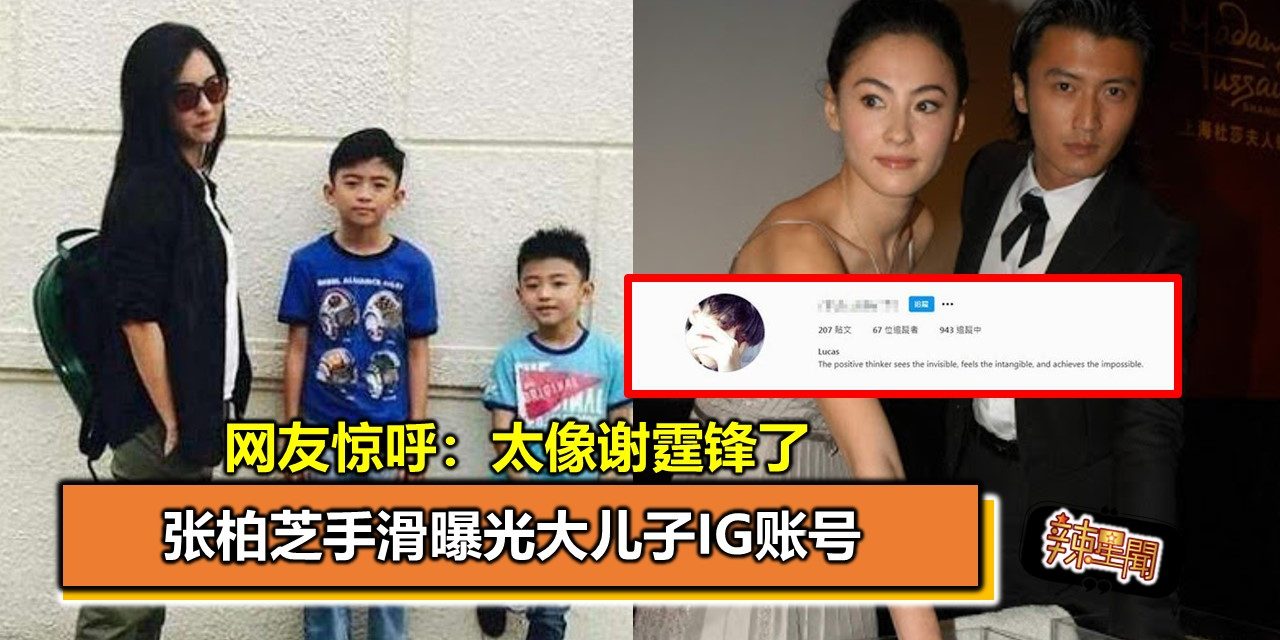 张柏芝手滑曝光大儿子IG账号 网友惊呼：太像谢霆锋了