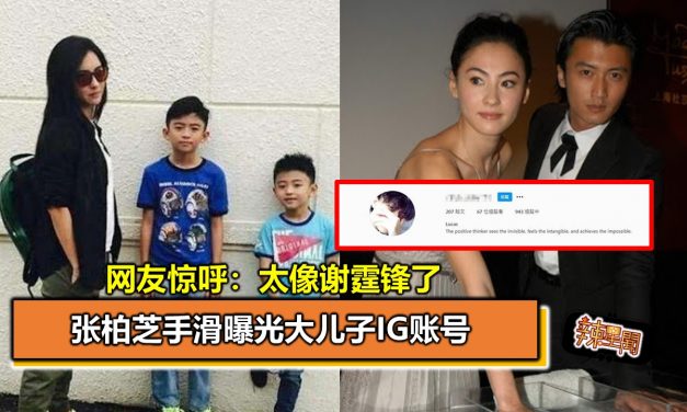 张柏芝手滑曝光大儿子IG账号 网友惊呼：太像谢霆锋了
