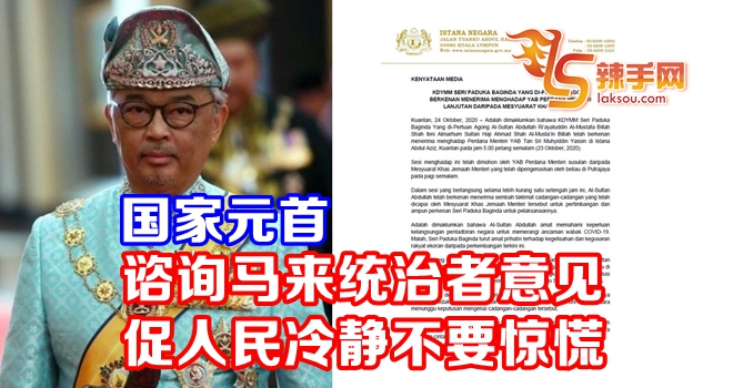 国家元首：谘询马来统治者意见