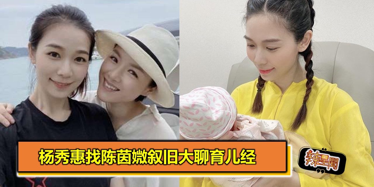 杨秀惠找陈茵媺叙旧大聊育儿经