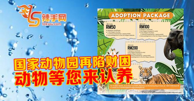 国家动物园动物等您来领养