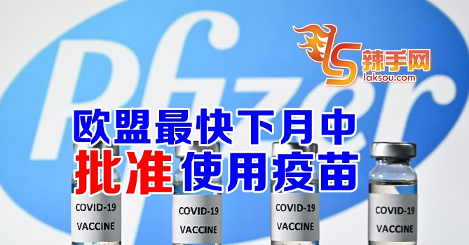 欧盟最快下月中批准疫苗