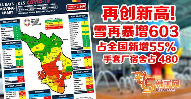 雪再创新高  暴增603  手套厂感染群占502！