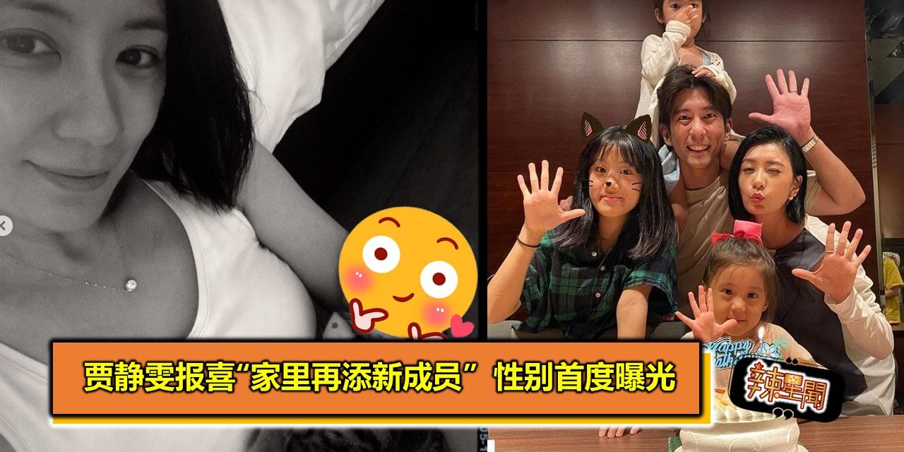 贾静雯报喜“家里再添新成员”  性别首度曝光