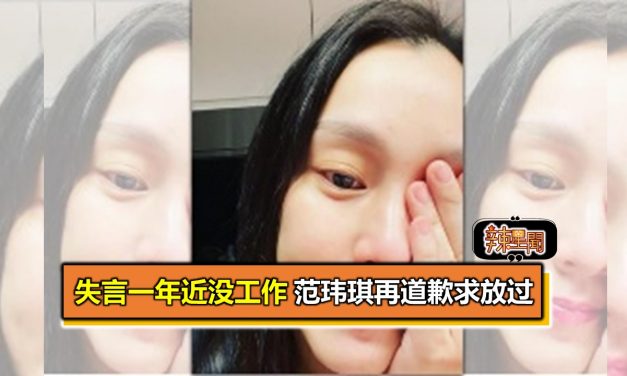 失言一年近没工作 范玮琪再道歉求放过