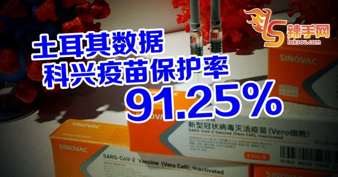 土耳其：科兴疫苗保护率 91.25%