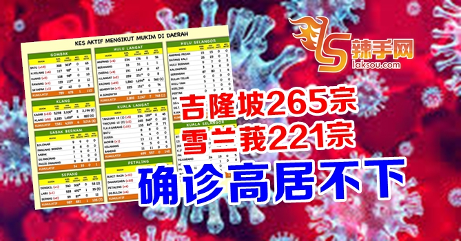 雪隆区确诊482宗