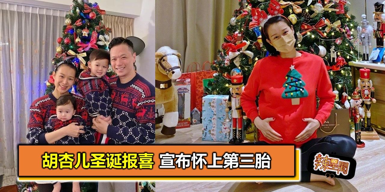 胡杏儿圣诞报喜 宣布怀上第三胎