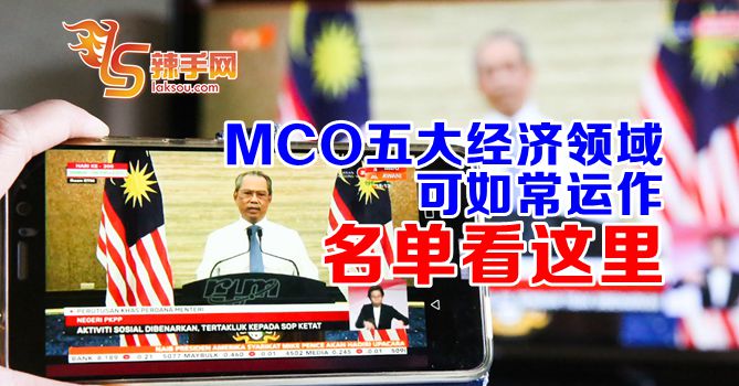 MCO可运作五大经济领域名单