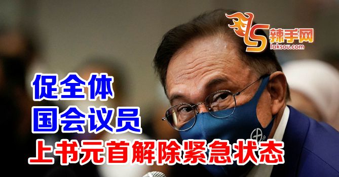 安华：促全体国会议员上书国家元首