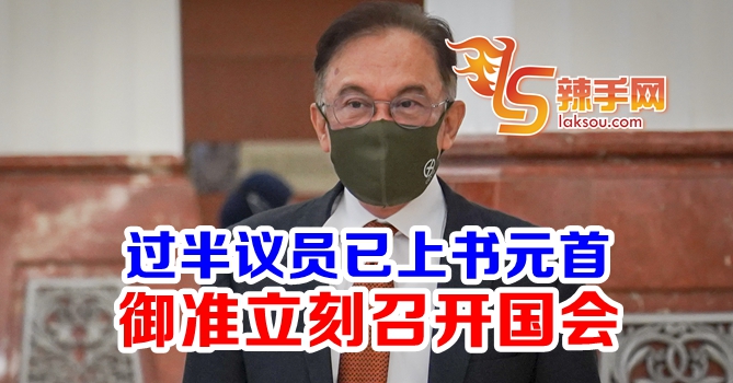 安华：过半议员已上书国家元首