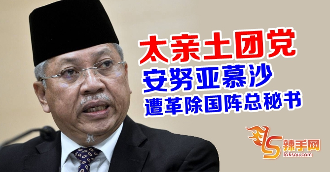 安努亚慕沙被革除国阵总秘书