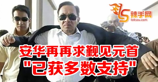 安华再再求觐见元首