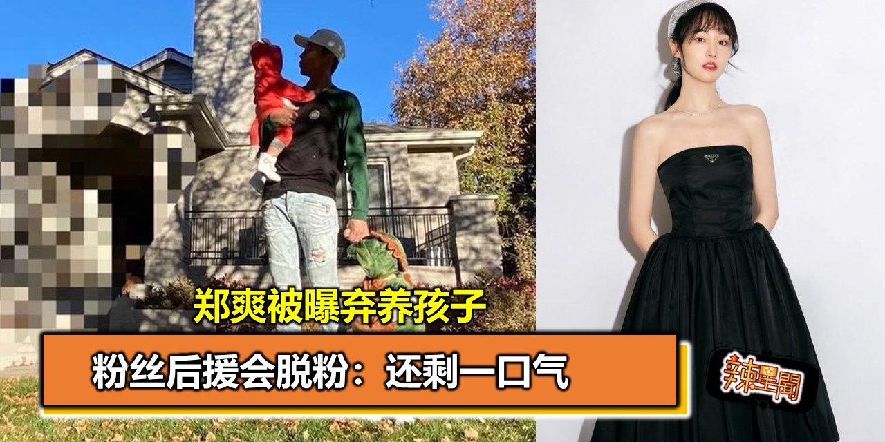 郑爽被曝弃养孩子 粉丝后援会脱粉：还剩一口气