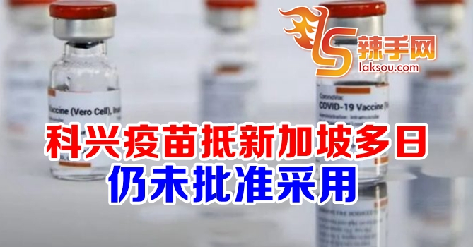 科兴疫苗抵新但未批准採用