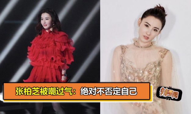 张柏芝被嘲过气：绝对不否定自己