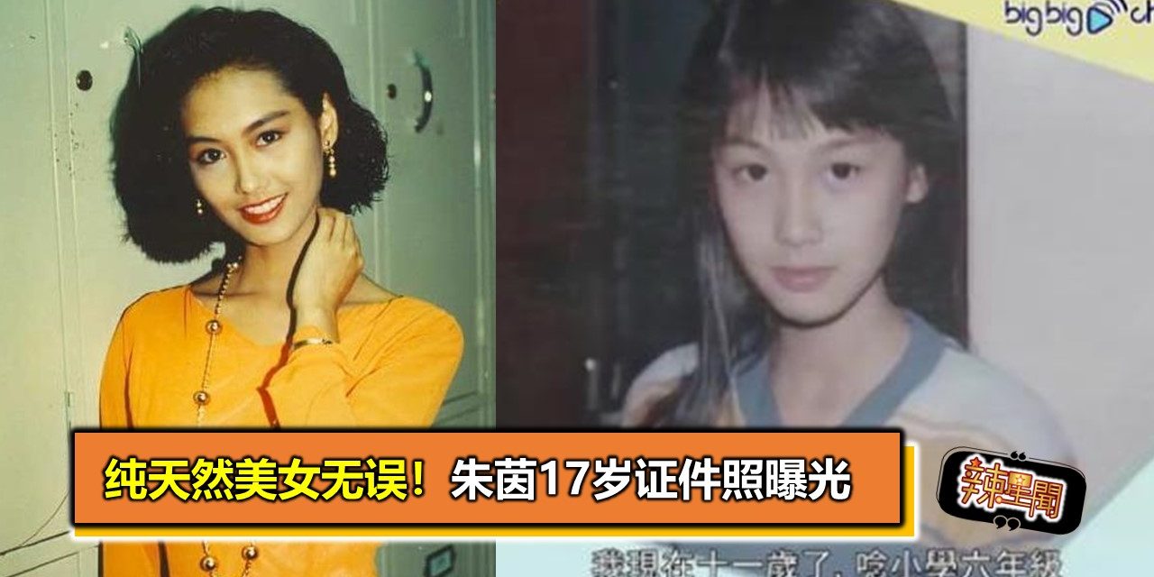 纯天然美女无误！朱茵17岁证件照曝光