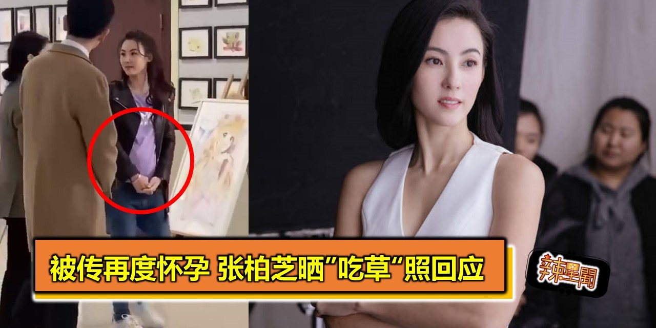 被传再度怀孕 张柏芝晒”吃草“照回应