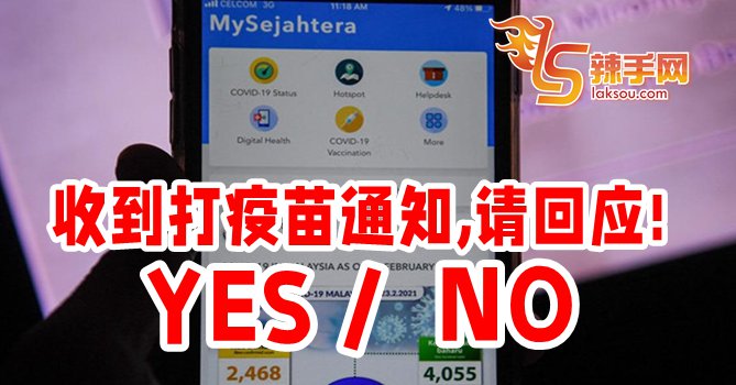 收到打疫苗通知，请回应 YES or NO！