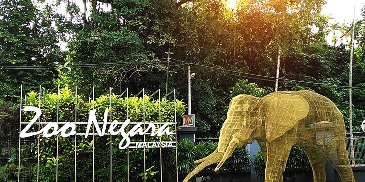 WATERCO为国家动物园打造 一个保有洁净水源和卫生的环境