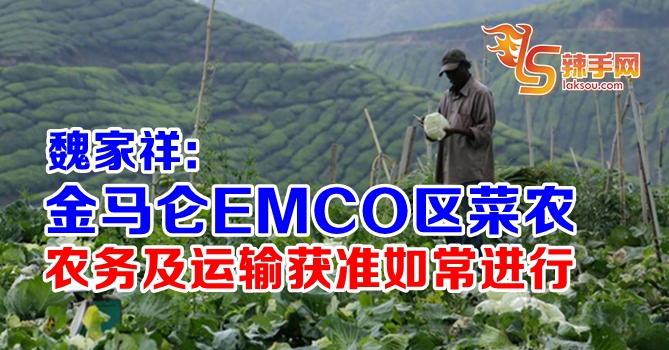 金马仑农民可如常收割农作物