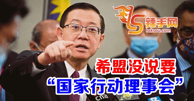 林冠英：希盟没说要“国家行动理事会”