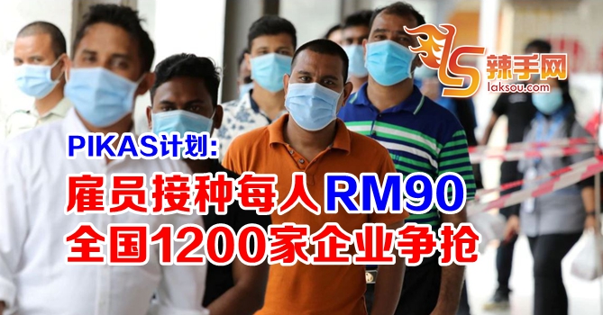 1200家企业要参与PIKAS