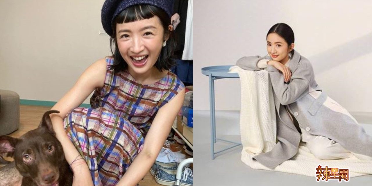 退出娱乐圈？林依晨解散了工作室