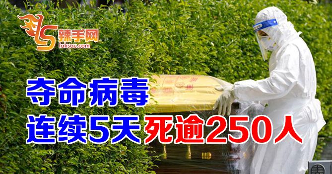 我国连续5天死逾250人