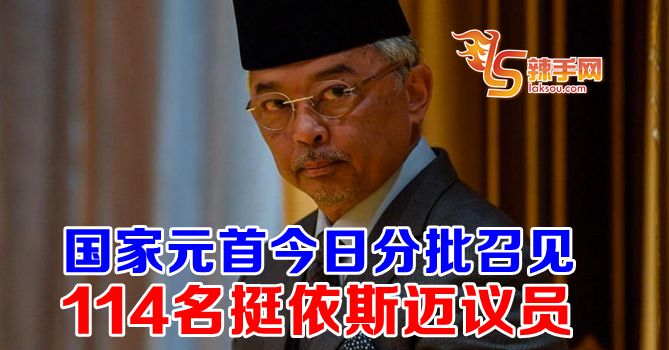 国家元首分批召见挺依斯迈议员