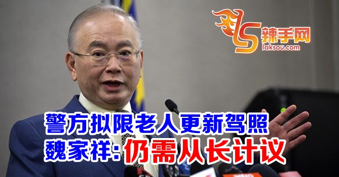 魏家祥：限乐防驾照需从长计议