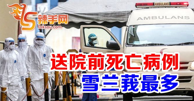 送院前死亡病例雪州最多