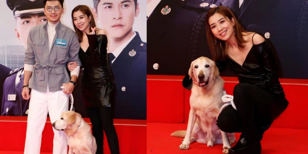 黄智雯《把关者们》表现获赞 袁伟豪力撑夺视后