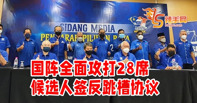 国阵全面攻打28席