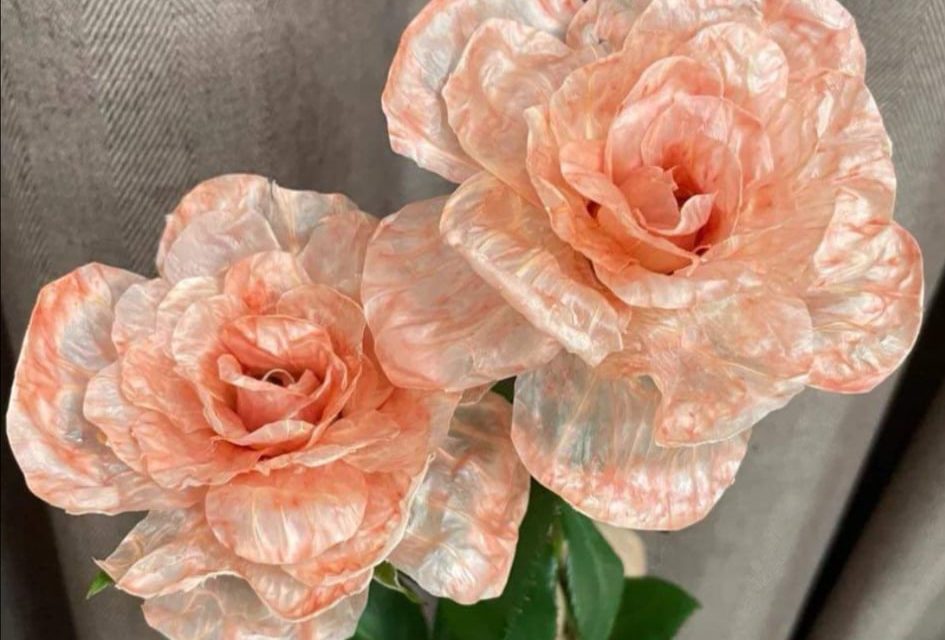 柚子皮自制花朵 成品居然那么好看