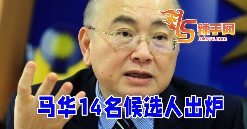 马华14名候选人出炉 - 辣手网