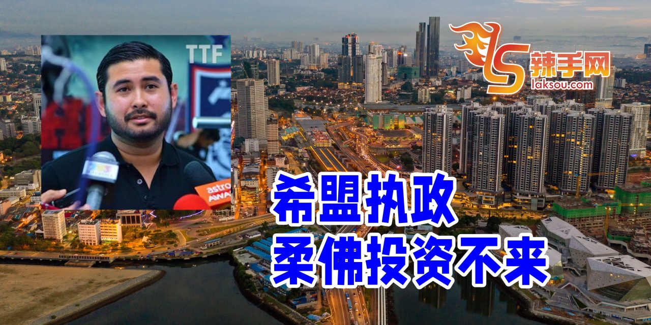 柔王储：希盟执政后投资滑落